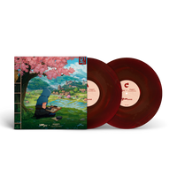 Vinyl records with a colorful cover featuring a person under cherry blossoms.