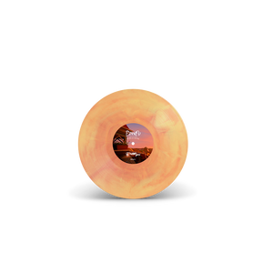 
                  
                    Vinyl record with a colorful label on a white background
                  
                