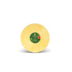 
                  
                    Summer in Rio - Vinyl
                  
                
